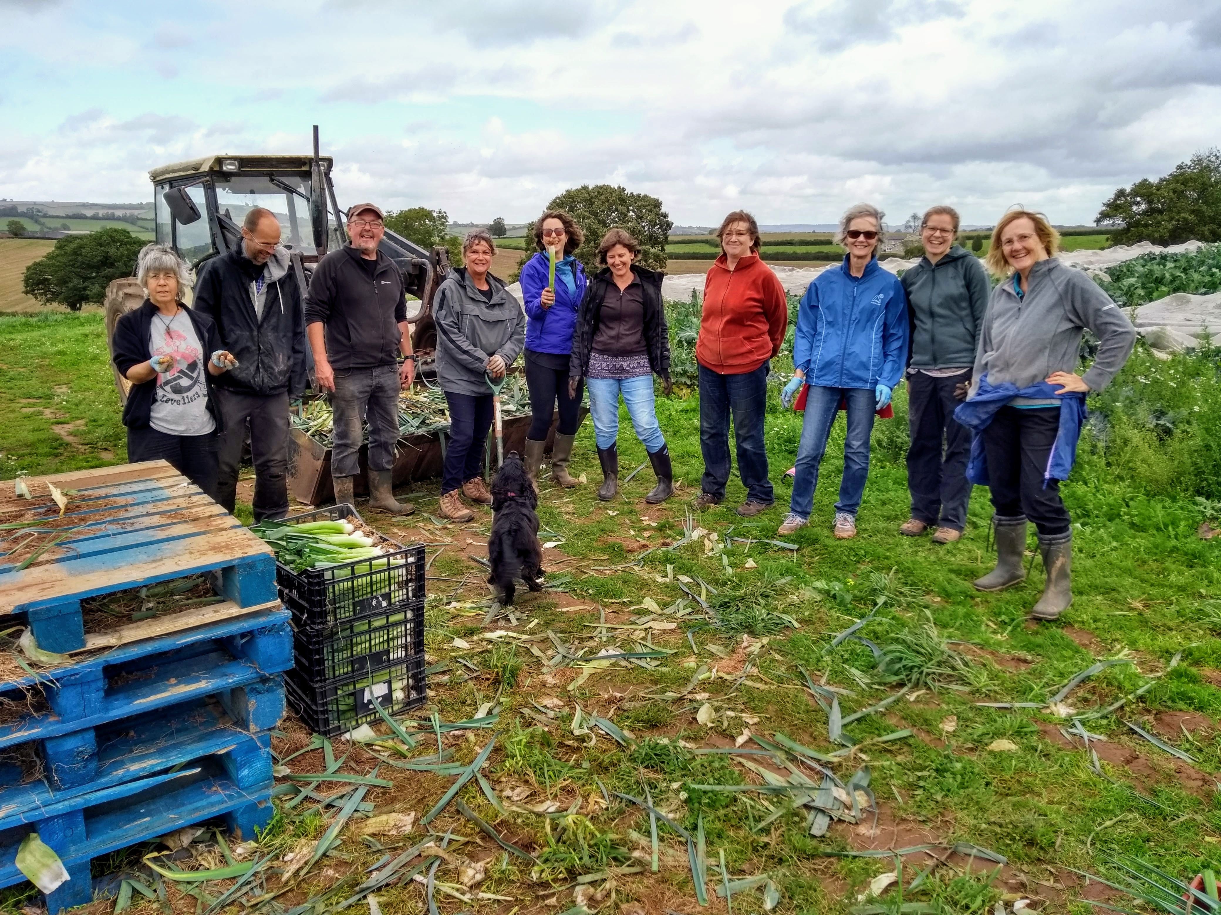 News From The Farm: Volunteering