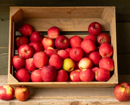 Organic fruit