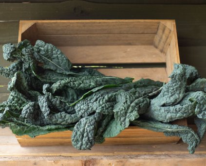 Kale - Cavolo Nero (Family Bag)