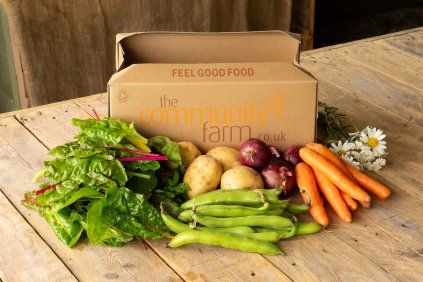 /our-products/veg-fruit-boxes/106-all-for-one