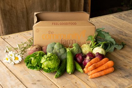 /our-products/veg-fruit-boxes/10-veg-no-potatoes-small