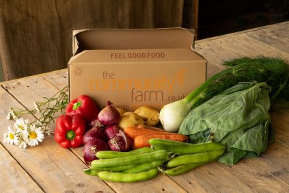 Veg Variety