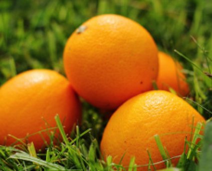Oranges (1kg) SPA
