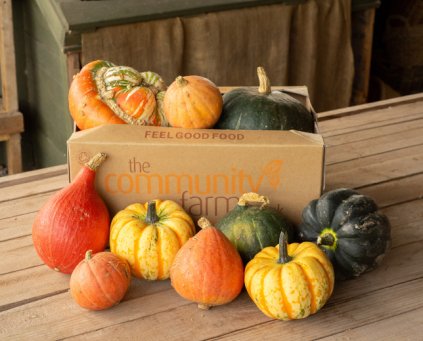 Squash Box