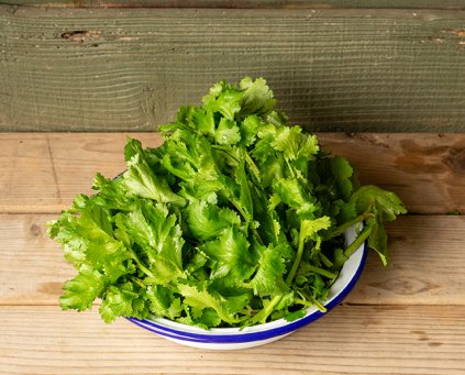 Herbs - Coriander