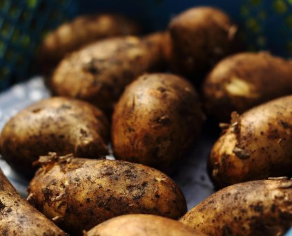 New Potatoes (1kg)