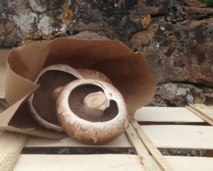 Mushrooms (Portabello) (200g)