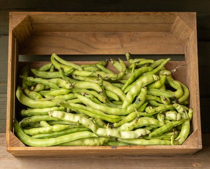 Broad Beans