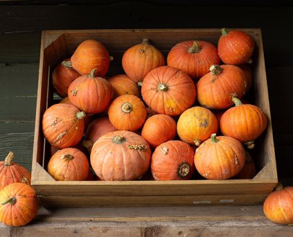 Squash