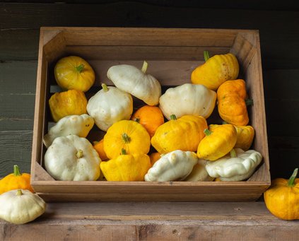 Patty Pan Squash