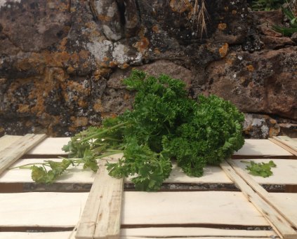 Parsley (Flat) (Approx 30g) 