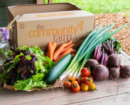 Salad Box