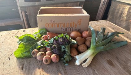 /our-products/veg-fruit-boxes/35-farmers-choice-small