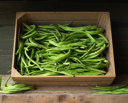 Beans - Flat