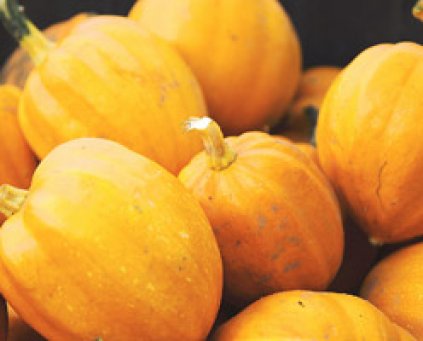 Squash (Winter Sweet) (approx. 2kg)