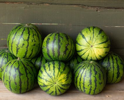 Watermelon