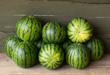 Watermelon - Mini