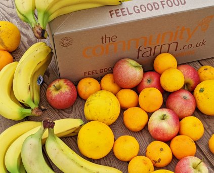 Family Fruit Box
