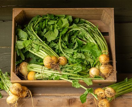 Turnips - Bunched