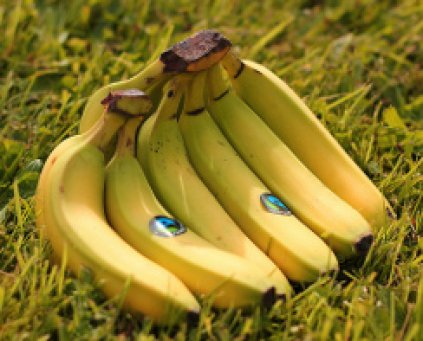 Bananas (1kg)