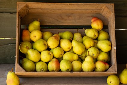 Pears