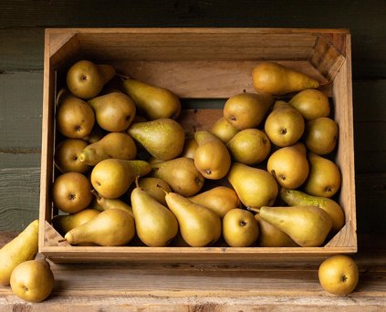 Pears