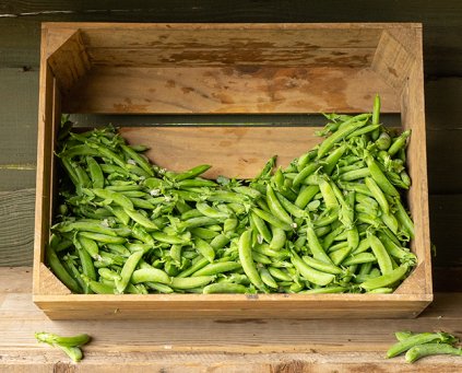 Peas - Sugar Snap