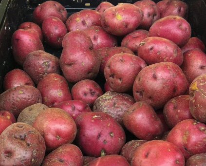 Potatoes (Alouette Red) 1kg (Somerset)