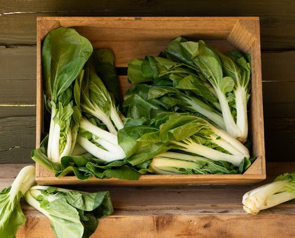 Pak Choi