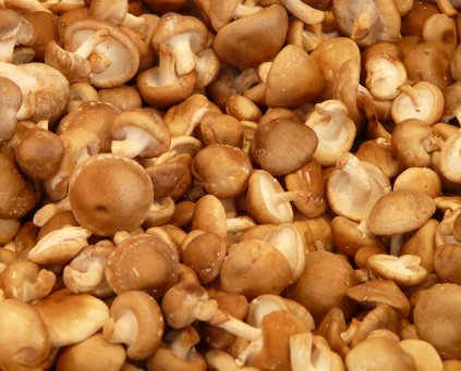 Mushrooms (Shiitake 100g)