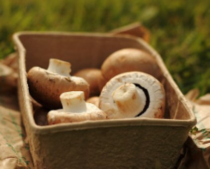 Mushrooms (approx 300g)