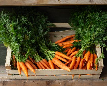 Carrots - Bunched