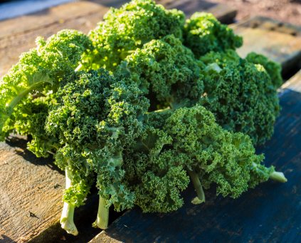 Kale (Green Curly) (Cornwall)
