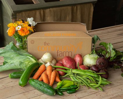 Veg No Plastic
