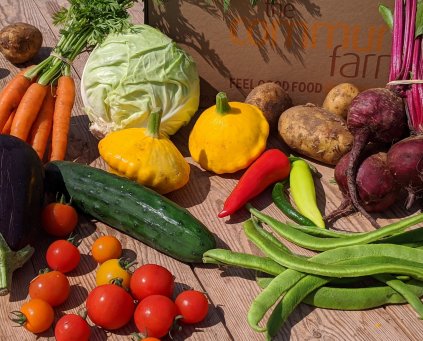 Veg No Plastic