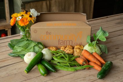 Veg No Plastic