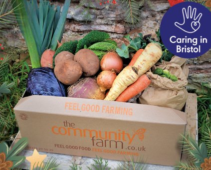 Box christmas vegetable Organic Veg box delivery - The Community Farm