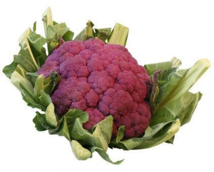 Cauliflower - Purple