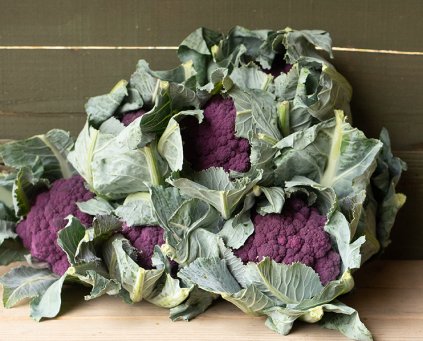 Cauliflower - Purple