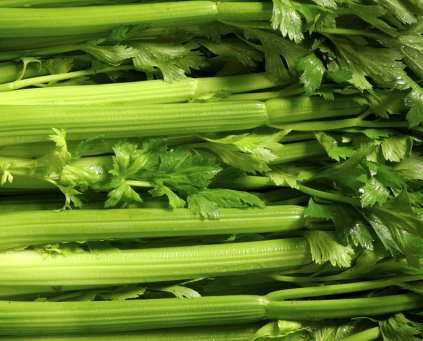 Celery (Bunched)