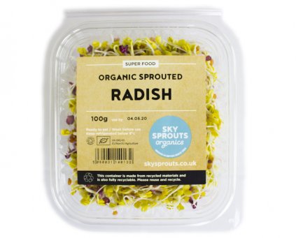Sprouted Radish