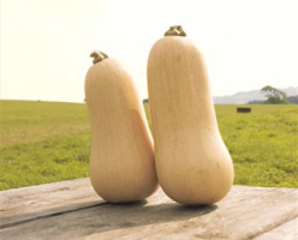 Squash (Butternut) 750g approx