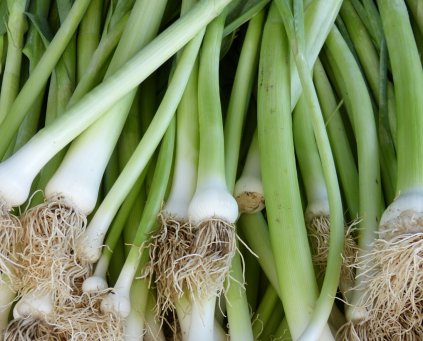 Leeks (500g) (SPA)