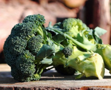 Broccoli/Calabrese (Approx 500g)