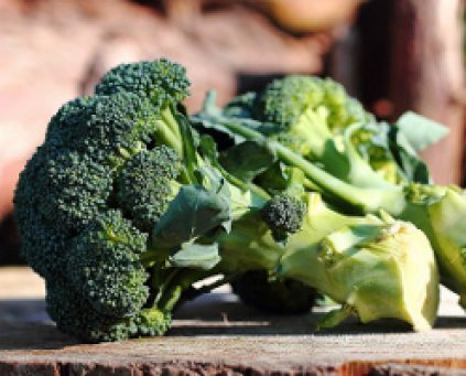 Broccoli (Approx 500g)