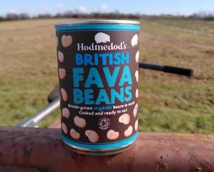 Fava Beans (Whole) (Tinned)