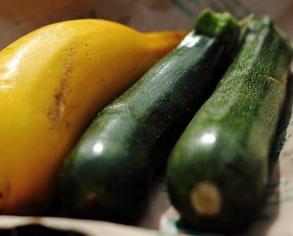 Courgettes (500g) (Our Field)