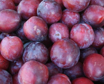 Plums (400g)