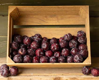 Plums