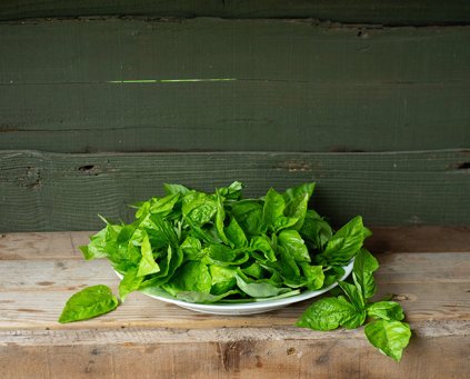 Herbs - Basil